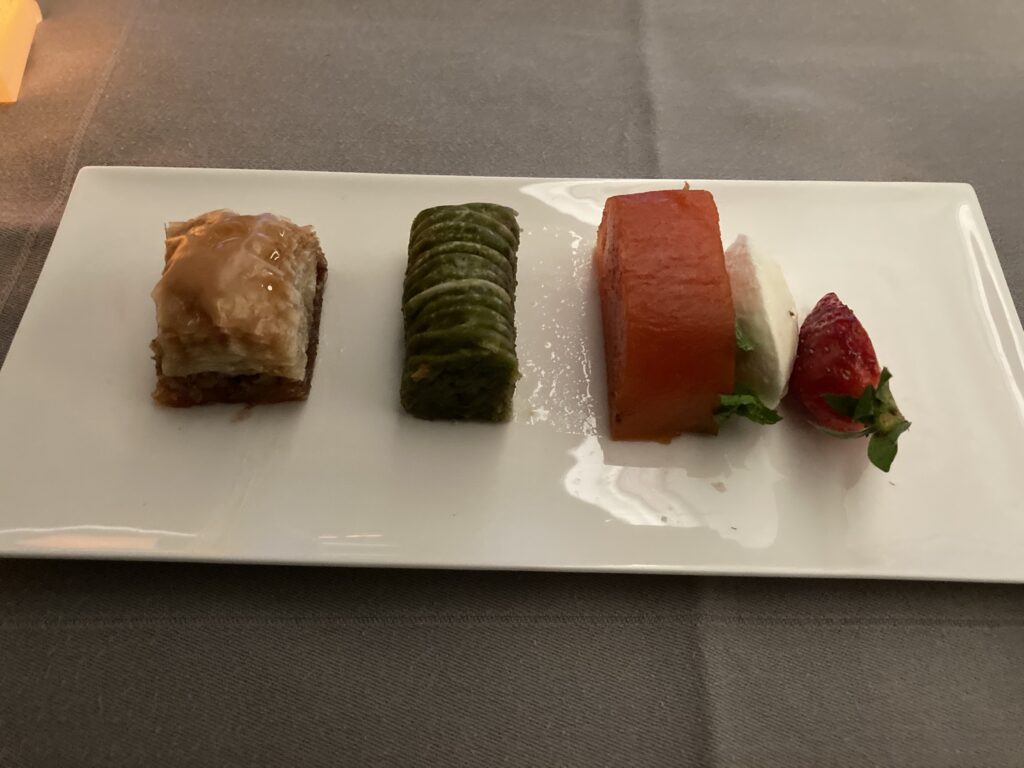 ターキッシュエアライン イスタンブール-羽田便のビジネスクラス