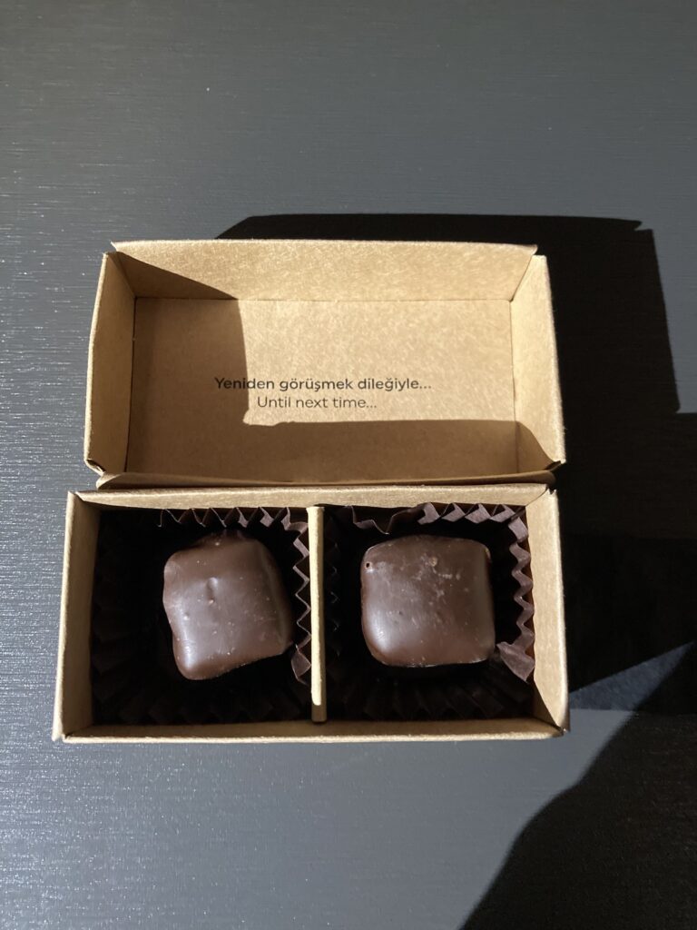 ターキッシュエアライン イスタンブール-羽田便のビジネスクラス