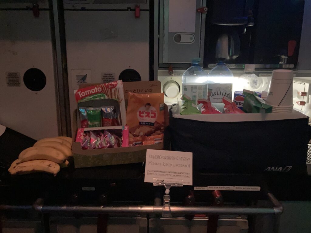 ANA 羽田-ミュンヘン便のエコノミークラス