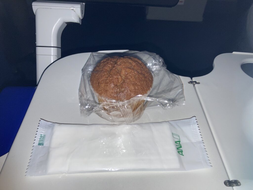 ANA 羽田-ミュンヘン便のエコノミークラス