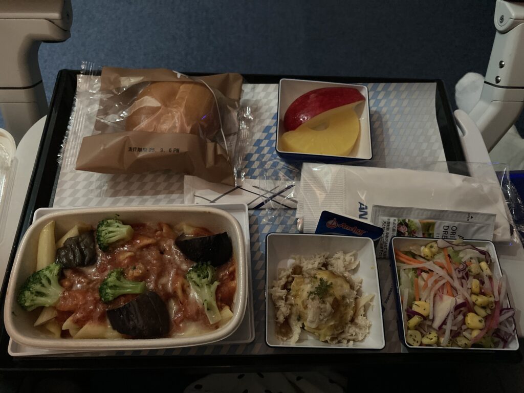 ANA 羽田-ミュンヘン便のエコノミークラス