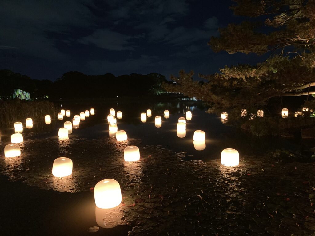 チームラボの常設展を徹底比較！行くときの注意事項も紹介します！